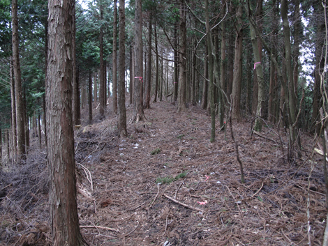 20160121hike (249)